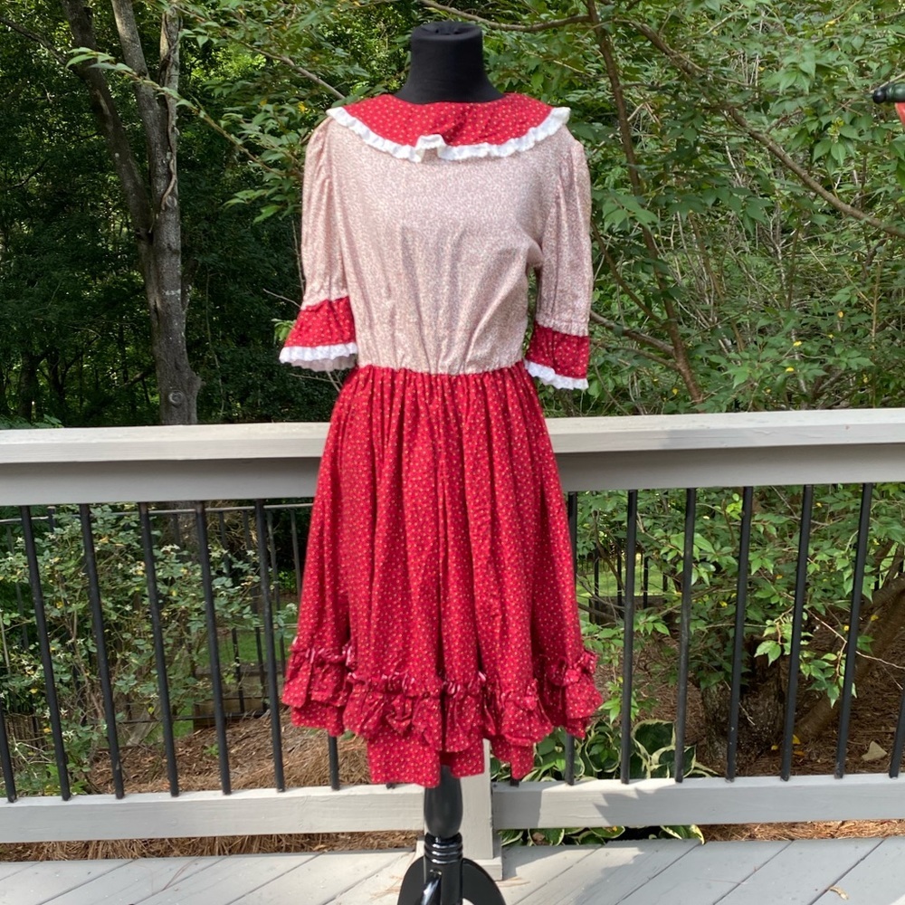 Vintage 60s Cottagecore Ditsy Floral Western Ruffle Prairie Square Dancing Dress